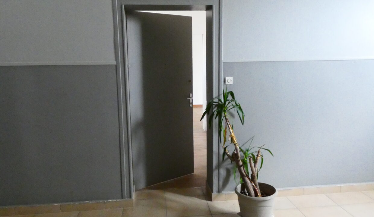 P1050295